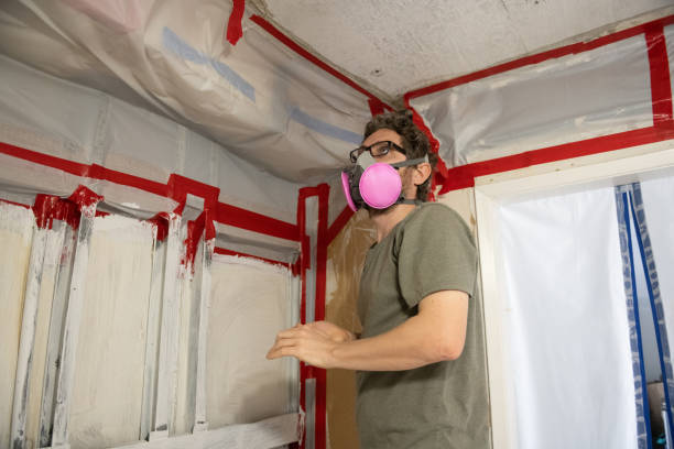 Asbestos and Lead Testing During Mold Inspection in Round Lake Beach, IL